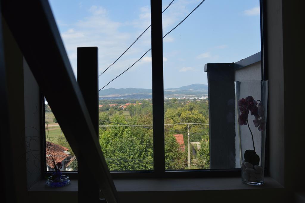Guest House Vila Salute Ni 外观 照片