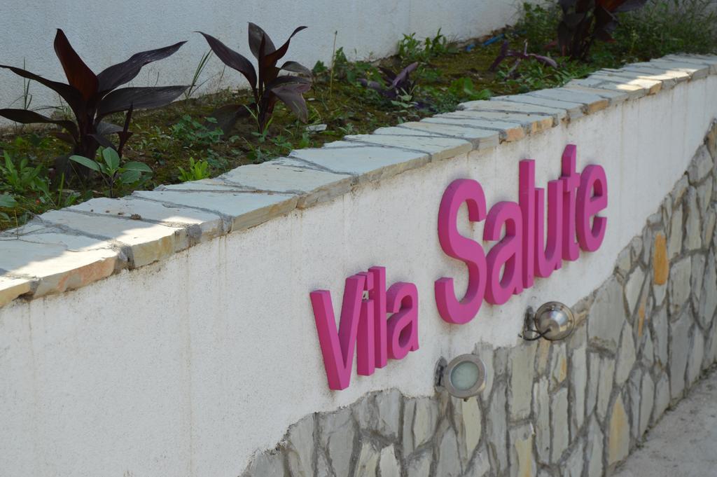 Guest House Vila Salute Ni 外观 照片