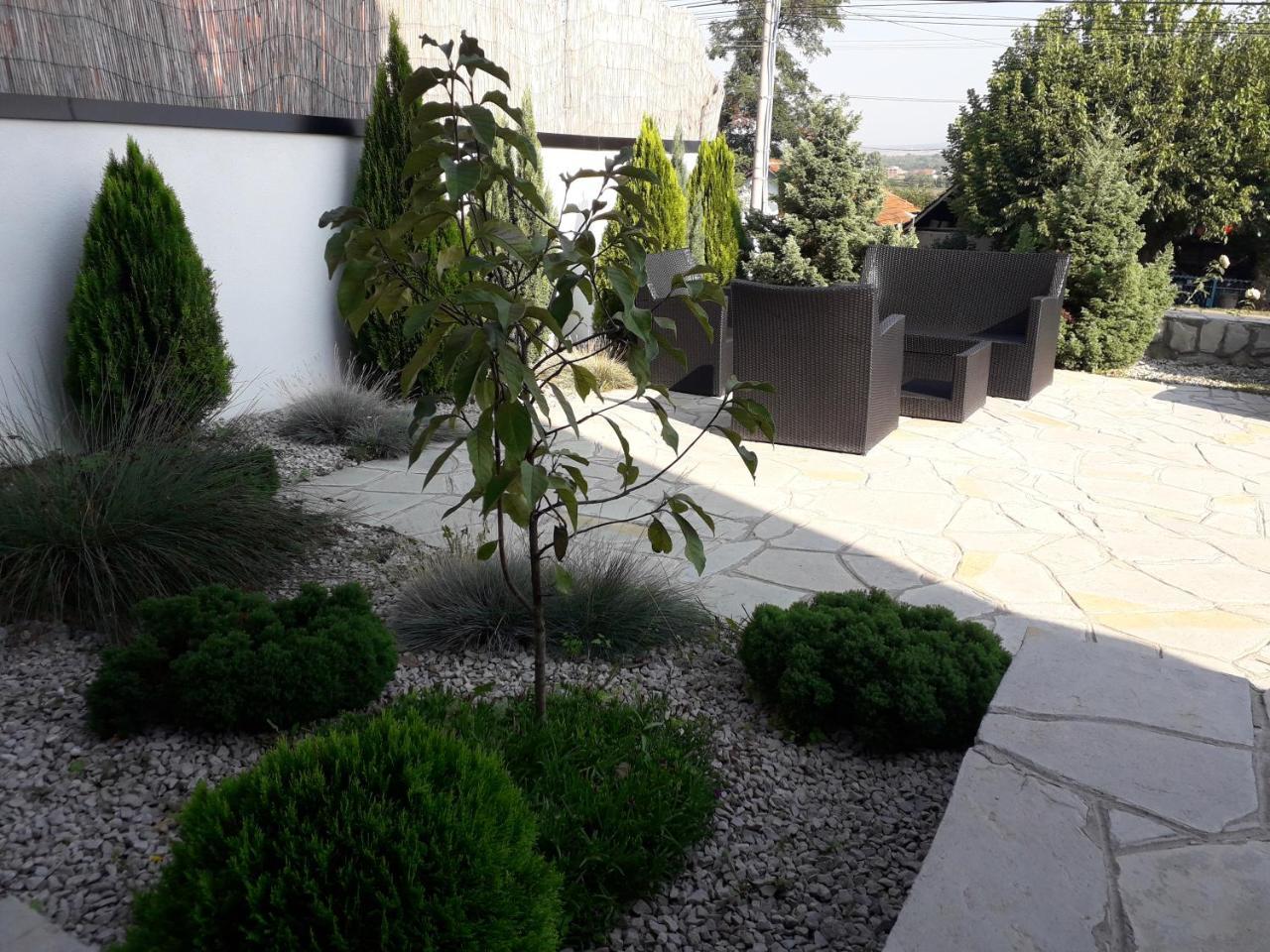 Guest House Vila Salute Ni 外观 照片